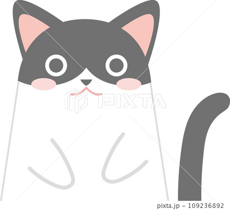 白黒ハチワレ猫_猫のイラスト_ニャンコ_ハチワレ白黒猫_お手々をお腹に当てたハチワレ白黒猫 白黒ハチワレ猫_猫のイラスト_ニャンコ_ハチワレ白黒猫_お手々をお腹に当てたハチワレ白黒猫 109236892