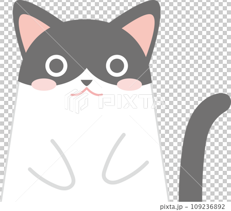 白黒ハチワレ猫_猫のイラスト_ニャンコ_ハチワレ白黒猫_お手々をお腹に