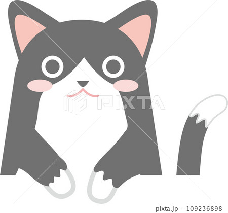 タキシード猫_猫のイラスト_ニャンコ_タキシード猫_お手々をはみ出して垂らしたタキシード猫 109236898