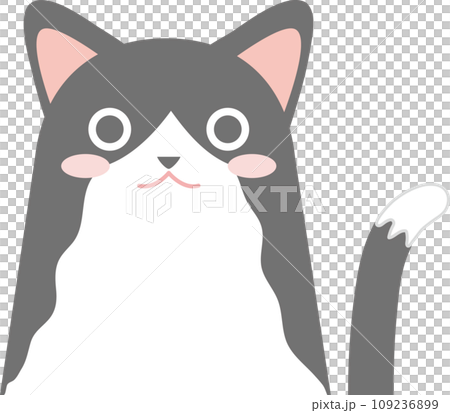 タキシード猫_猫のイラスト_ニャンコ_タキシード猫 109236899