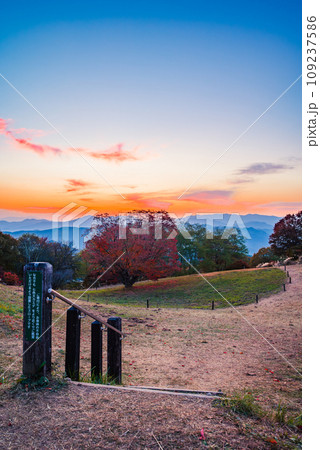 【七色大カエデ】大峰高原の夜明け【北安曇郡池田町】 109237586