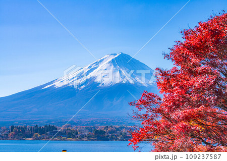 【富士山素材】秋の河口湖から見る冠雪した富士山と紅葉【山梨県】 【富士山素材】秋の河口湖から見る冠雪した富士山と紅葉【山梨県】 109237587