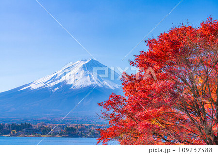 【富士山素材】秋の河口湖から見る冠雪した富士山と紅葉【山梨県】 109237588