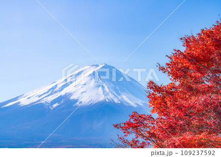 【富士山素材】秋の河口湖から見る冠雪した富士山と紅葉【山梨県】 109237592