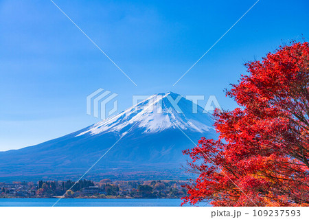 【富士山素材】秋の河口湖から見る冠雪した富士山と紅葉【山梨県】 109237593