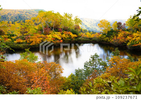 【北海道•大雪山】大雪高原温泉の紅葉 109237671