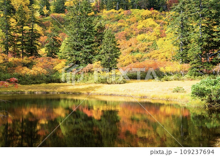 【北海道•大雪山】大雪高原温泉の紅葉 109237694