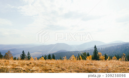 Autumn Carpathian mountains road 109238098