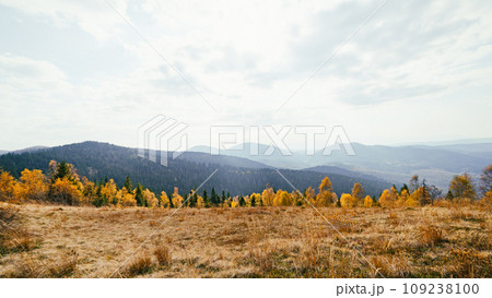 Autumn Carpathian mountains road 109238100