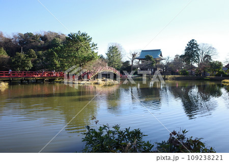 称名寺の庭園 109238221