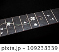 close up shot finger board  pearl inlay , heart and flower , acoustic guitar 109238339