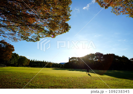 朝の光線 朝の光線 109238345