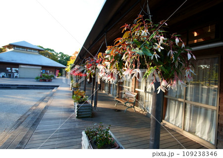 吊り下げプランター 吊り下げプランター 109238346