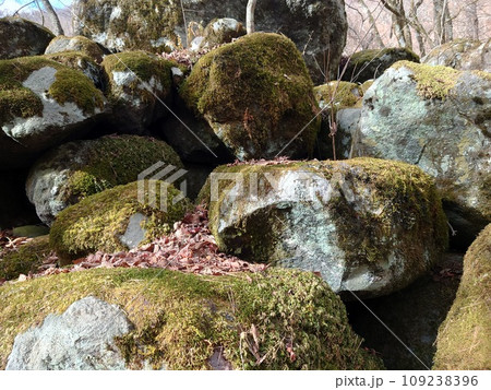 庭石に浮かぶ岩 109238396