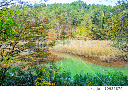 初秋の五色沼群　みどろ沼　福島県北塩原村 109238704
