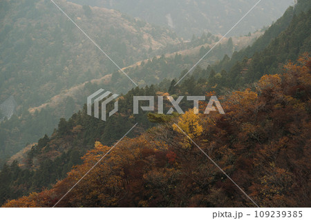 秋の御在所岳 109239385