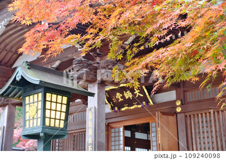 紅葉と高幡不動尊の大師堂 紅葉と高幡不動尊の大師堂 109240098