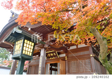 紅葉と高幡不動尊の大師堂 109240102