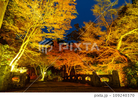 日吉大社紅葉 109240370