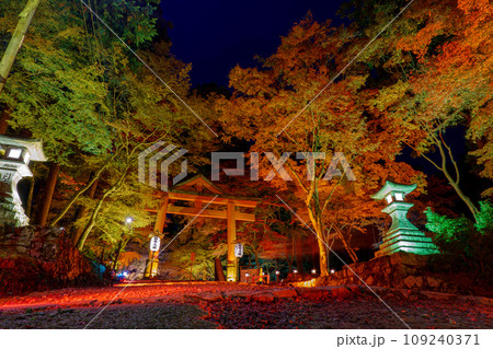 山王鳥居 109240371