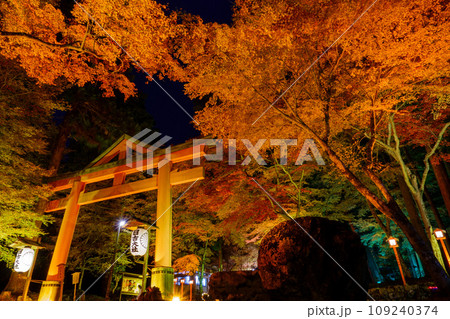 山王鳥居紅葉 109240374