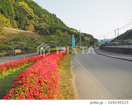 福岡県朝倉郡東峰村にあるツツジ咲く棚田親水公園 福岡県朝倉郡東峰村にあるツツジ咲く棚田親水公園 109240525