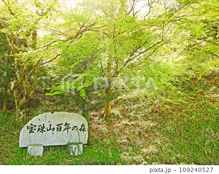 福岡県朝倉郡東峰村にある宝珠山百年の森 福岡県朝倉郡東峰村にある宝珠山百年の森 109240527