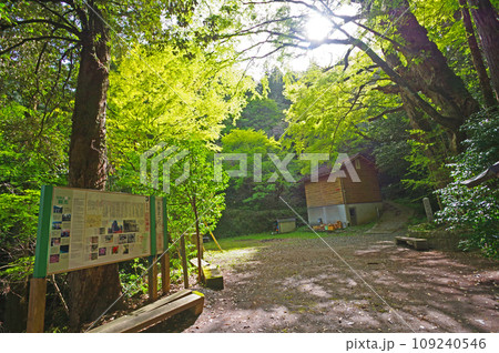 福岡県朝倉郡東峰村のパワースポット岩屋神社 福岡県朝倉郡東峰村のパワースポット岩屋神社 109240546