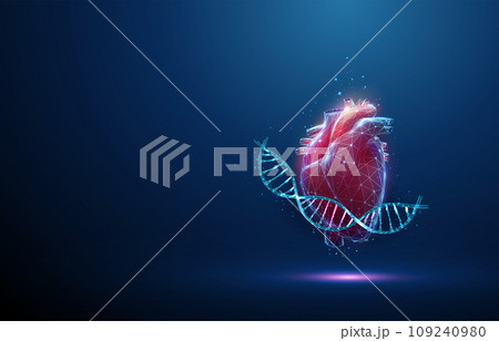 Blue DNA molecule helix with red human heart. Hereditary heart diseases, diagnosis of genetic diseases concept. Low poly 109240980