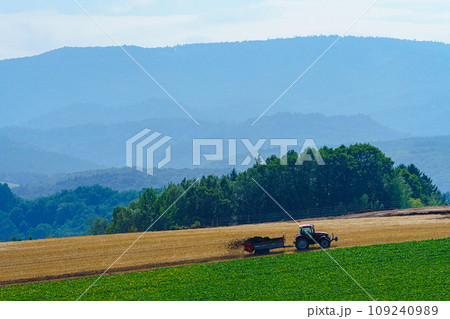 美瑛の畑風景　北海道観光 109240989