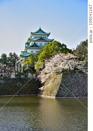 《愛知県》春の名古屋城と満開の桜 《愛知県》春の名古屋城と満開の桜 109241167
