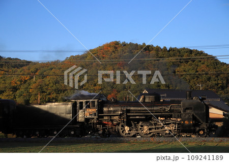 夕日に照らされて美しく車体を輝かせるパレオエクスプレスC58-363号機_2023/11/11撮影 夕日に照らされて美しく車体を輝かせるパレオエクスプレスC58-363号機_2023/11/11撮影 109241189