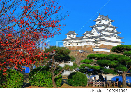 【兵庫県】快晴の姫路城と紅葉 109241395
