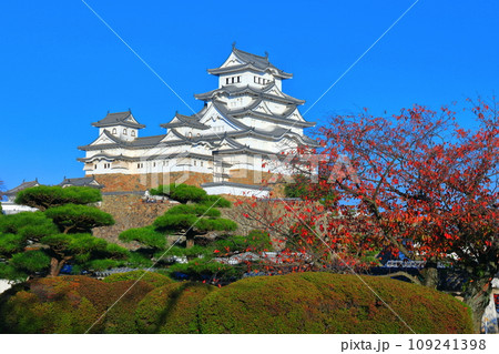 【兵庫県】快晴の姫路城と紅葉 【兵庫県】快晴の姫路城と紅葉 109241398