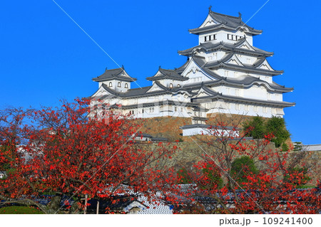 【兵庫県】快晴の姫路城と紅葉 109241400