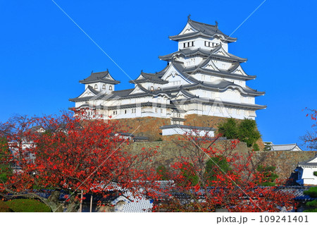 【兵庫県】快晴の姫路城と紅葉 109241401