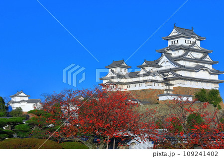 【兵庫県】快晴の姫路城と紅葉 【兵庫県】快晴の姫路城と紅葉 109241402