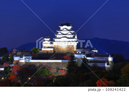 【兵庫県】姫路城の夜景（姫路公園） 109241422