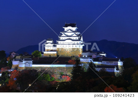 【兵庫県】姫路城の夜景（姫路公園） 109241423