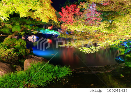 【兵庫県】好古園の紅葉ライトアップ(姫路公園) 【兵庫県】好古園の紅葉ライトアップ(姫路公園) 109241435