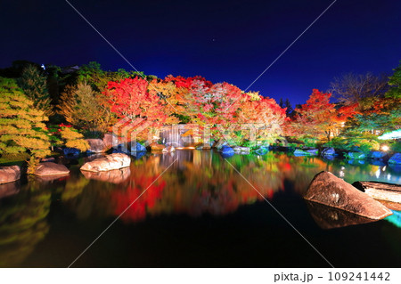 【兵庫県】好古園の紅葉ライトアップ(姫路公園) 【兵庫県】好古園の紅葉ライトアップ(姫路公園) 109241442