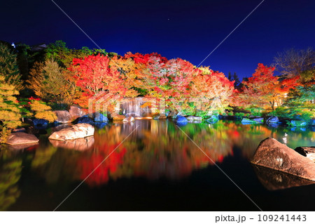 【兵庫県】好古園の紅葉ライトアップ(姫路公園) 【兵庫県】好古園の紅葉ライトアップ(姫路公園) 109241443