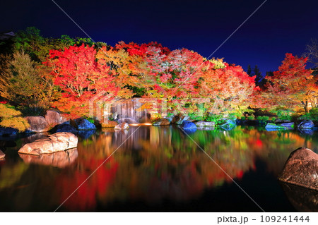 【兵庫県】好古園の紅葉ライトアップ(姫路公園) 【兵庫県】好古園の紅葉ライトアップ(姫路公園) 109241444