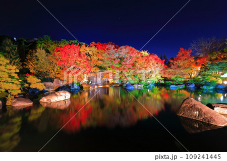 【兵庫県】好古園の紅葉ライトアップ(姫路公園) 【兵庫県】好古園の紅葉ライトアップ(姫路公園) 109241445