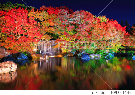 【兵庫県】好古園の紅葉ライトアップ（姫路公園） 109241446