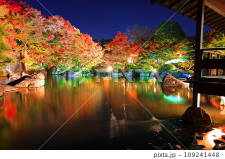 【兵庫県】好古園の紅葉ライトアップ(姫路公園) 【兵庫県】好古園の紅葉ライトアップ(姫路公園) 109241448