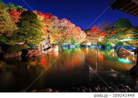 【兵庫県】好古園の紅葉ライトアップ（姫路公園） 109241449