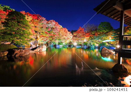 【兵庫県】好古園の紅葉ライトアップ（姫路公園） 109241451