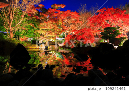 【兵庫県】好古園の紅葉ライトアップ（姫路公園） 109241461