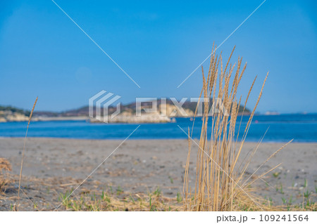 菖蒲田海水浴場　海岸　宮城県七ヶ浜町 109241564